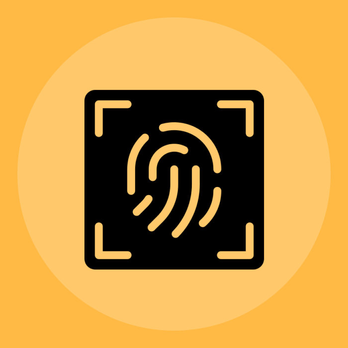 5 Ways To Protect Your Digital Privacy In 2024 – A Guide 