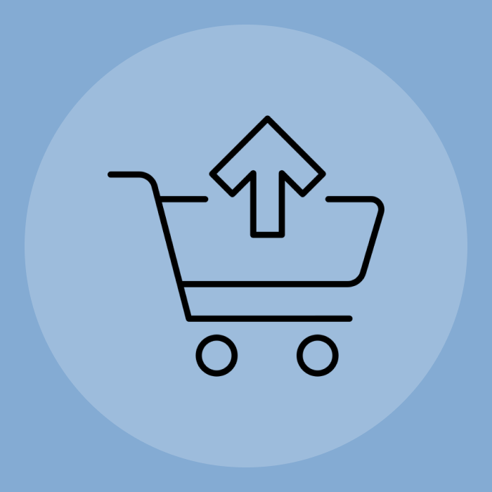 9 Powerful Ways to Upsell Your Products During Checkout 